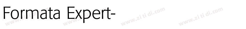 Formata Expert字体转换